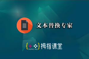 文本替换专家
